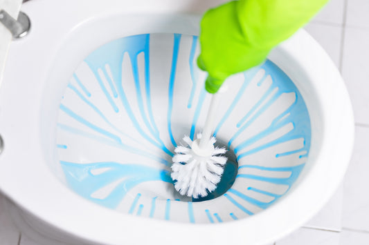 The Art of Toilet Cleaning: A Modern Twist to an Age-old Chore - Magic Brush Co.